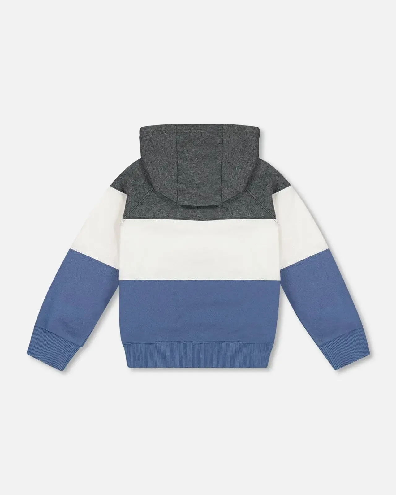 Colorblock Hooded Fleece Sweatshirt Gray, White And Blue