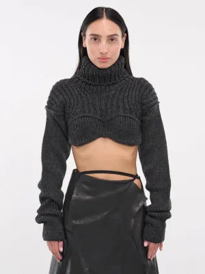 Cropped Turtleneck (A60529-DQH-ANTHRACITE-GREY)