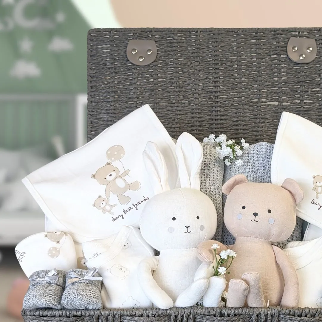 Large Twins Baby Gift Hamper Beary Best Friends