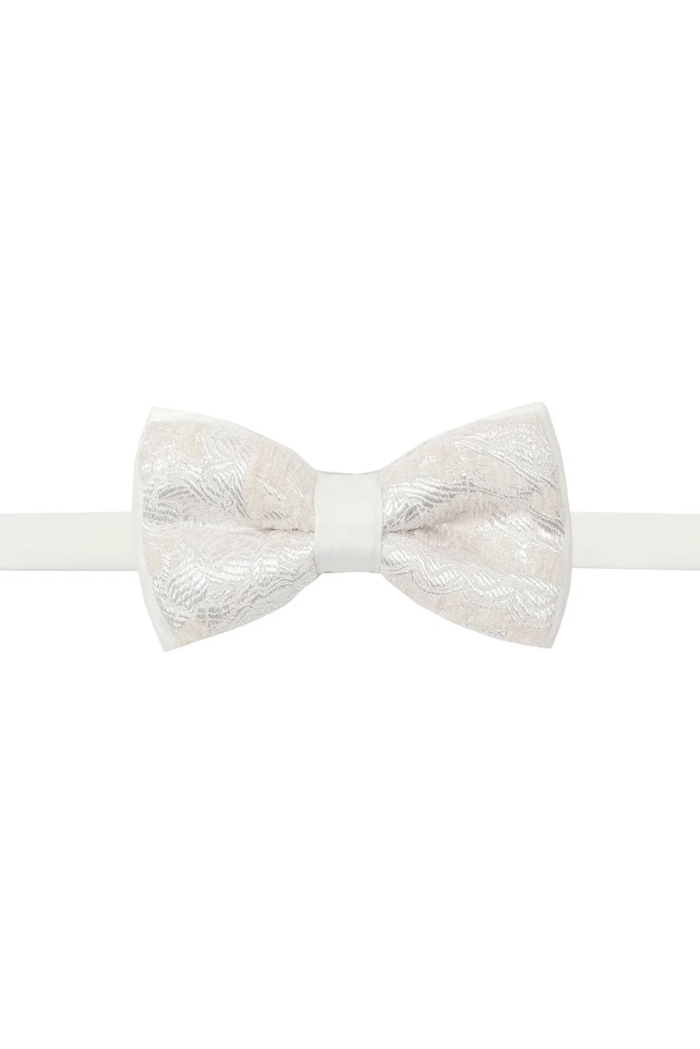 Luscious Paisley Bow Tie