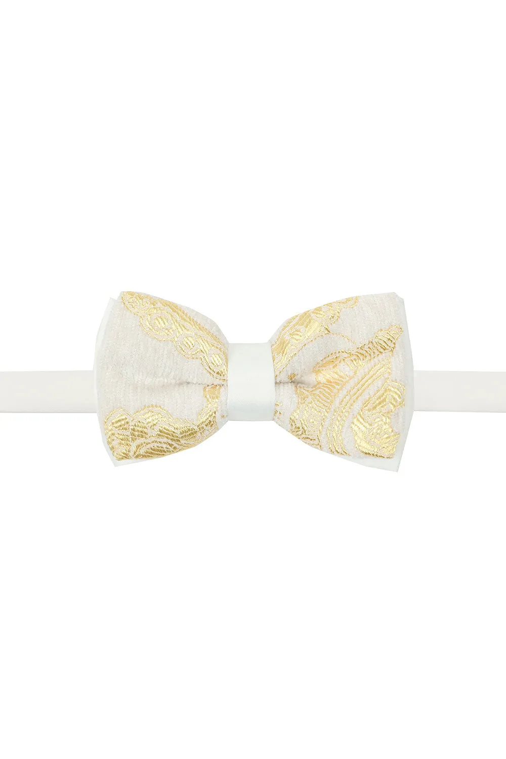 Luscious Paisley Bow Tie